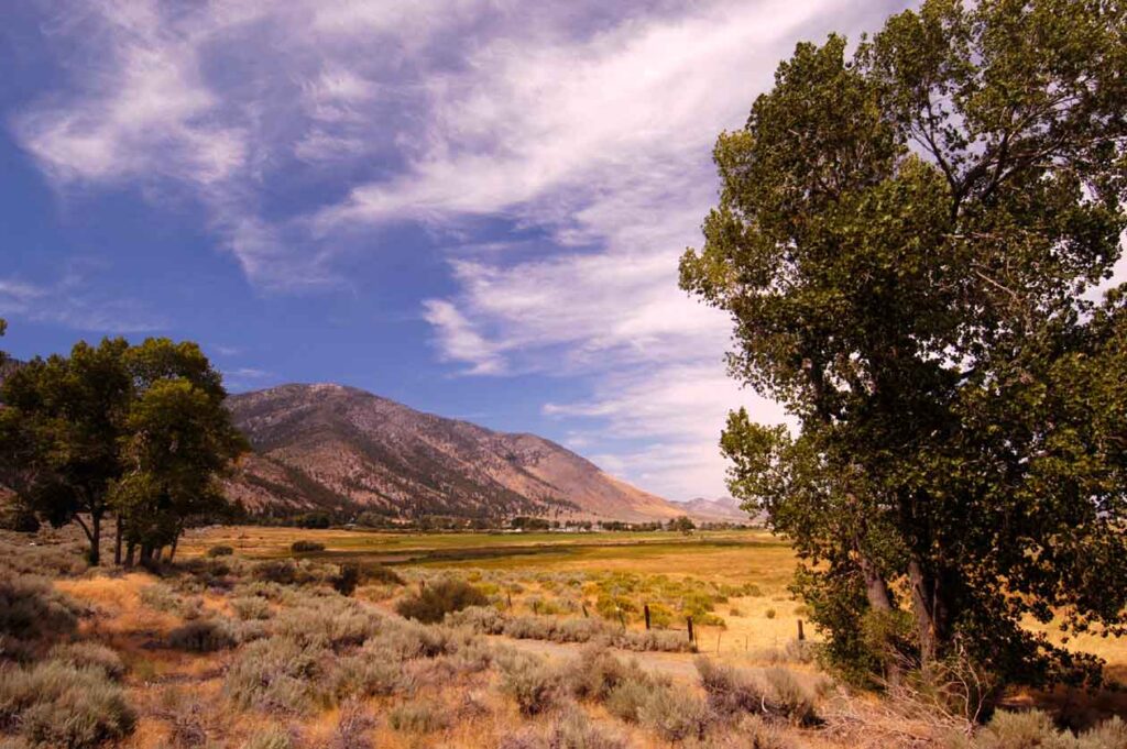 carson valley property management